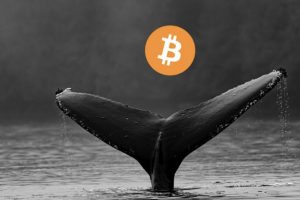 Cryptocurrency Whales Intend to Purchase More Bitcoins