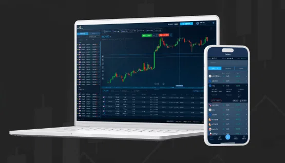 WebTrader and WiseCryptoCapital