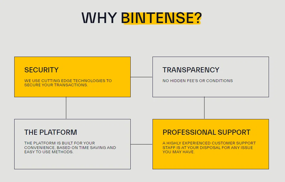 Bintense features